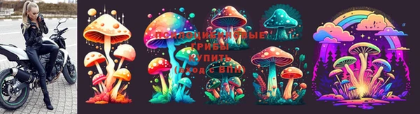 СК Алзамай