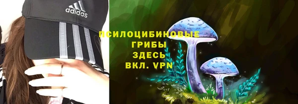 СК Алзамай